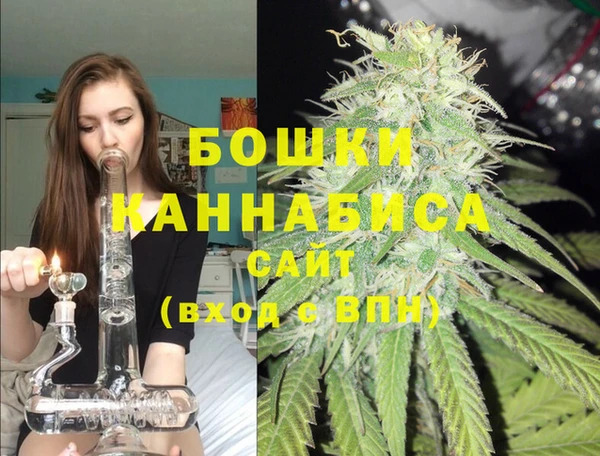 мдпв Михайлов