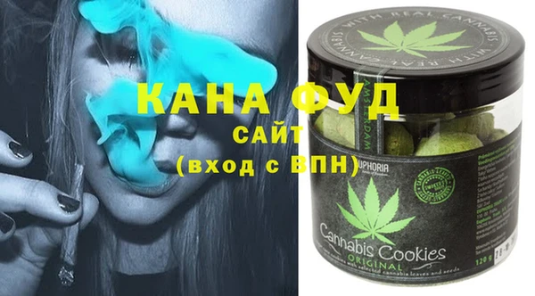 мдпв Михайлов