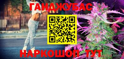 mdpv Партизанск