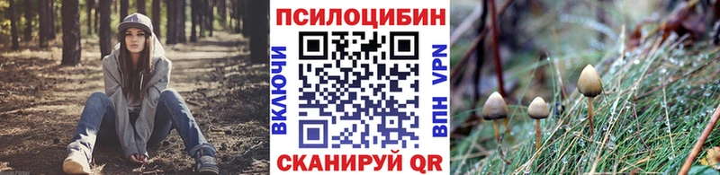 Купить  Симферополь  Галлюциногенные грибы MAGIC MUSHROOMS 