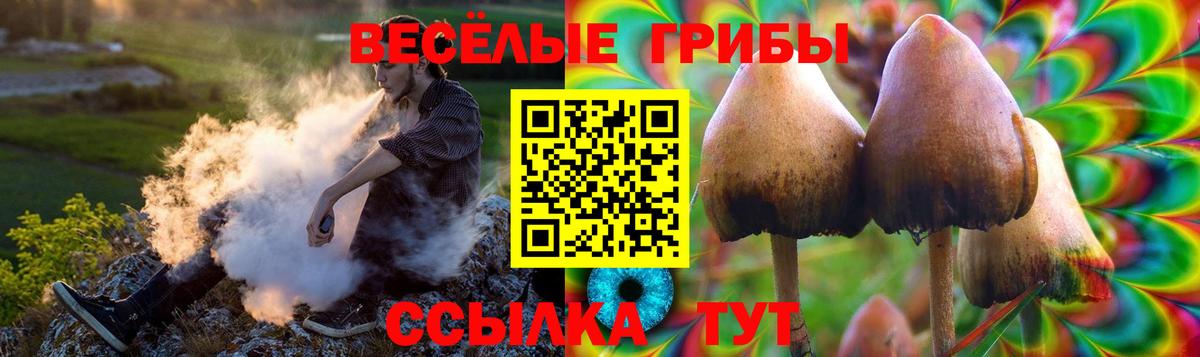 Галлюциногенные грибы Psilocybe  Галлюциногенные грибы Psilocybe  Симферополь 