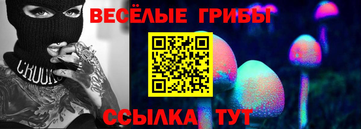 Симферополь  Псилоцибиновые грибы ЛСД  Вход с VPN 