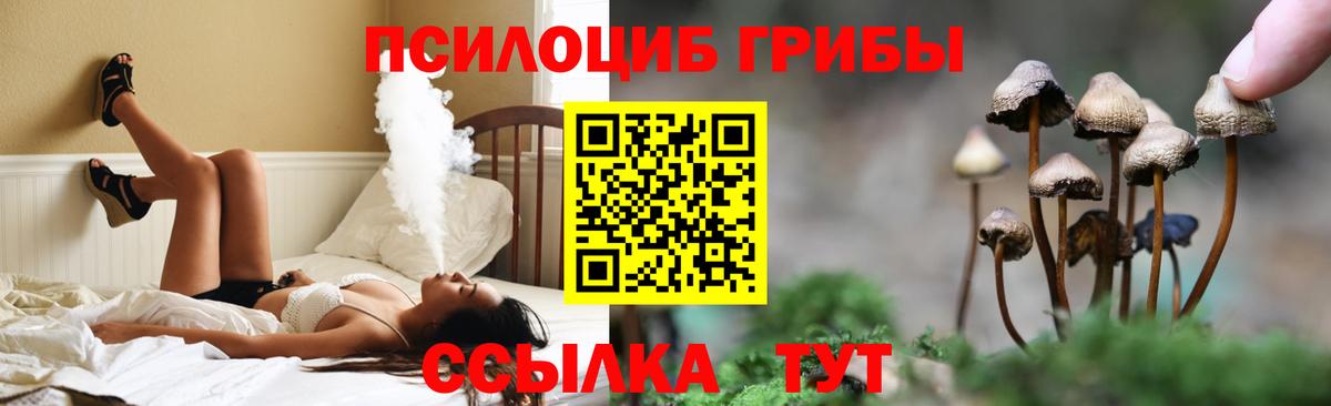 Галлюциногенные грибы Magic Shrooms Симферополь