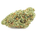 Шишки OG Kush  (Гидропоника, бошки) VHQ в Симферополе